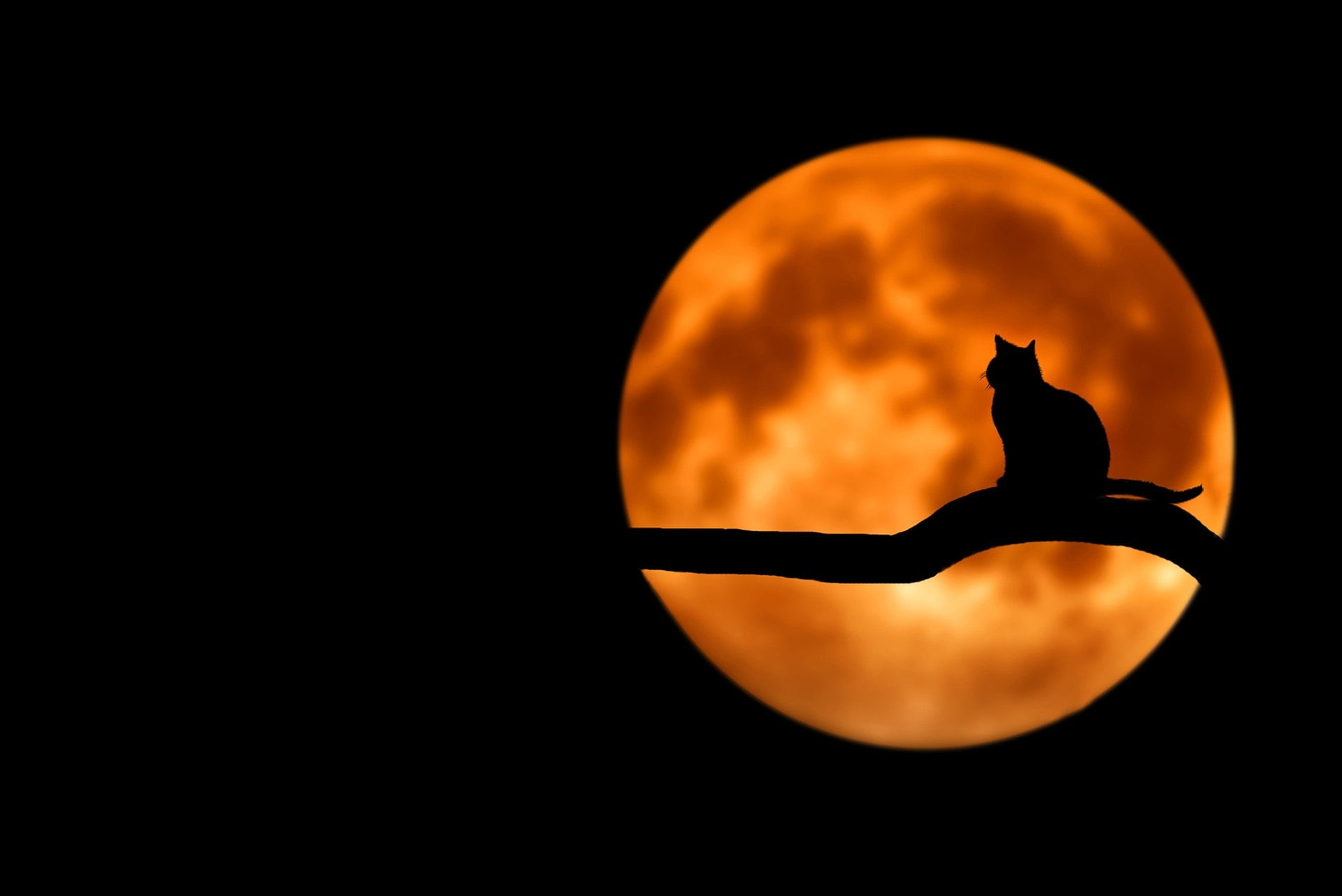 Launching Change: Take That Leap When You’re Still in the Dark