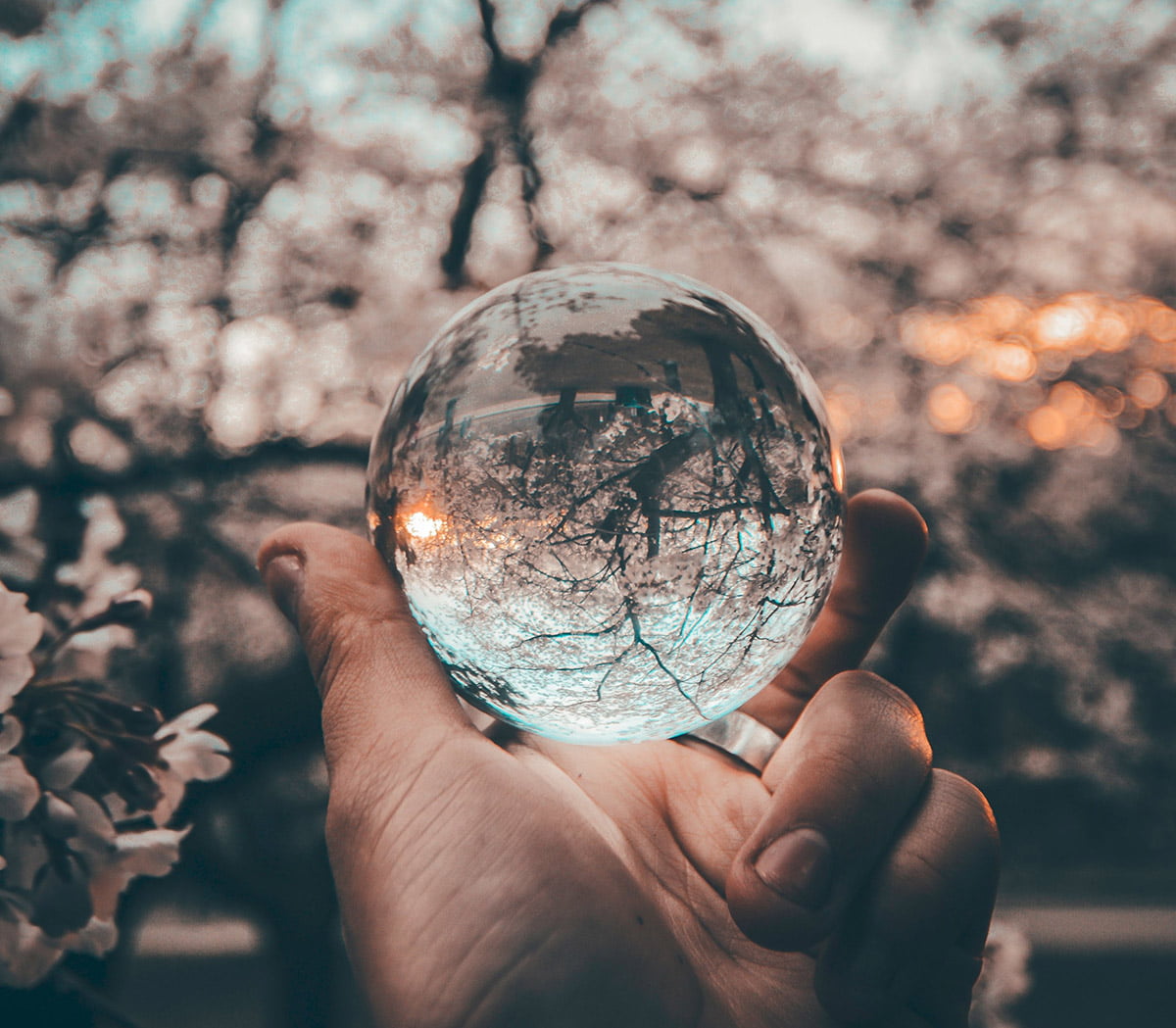 The Impact of Your Purpose Will Revitalize Your Brand
