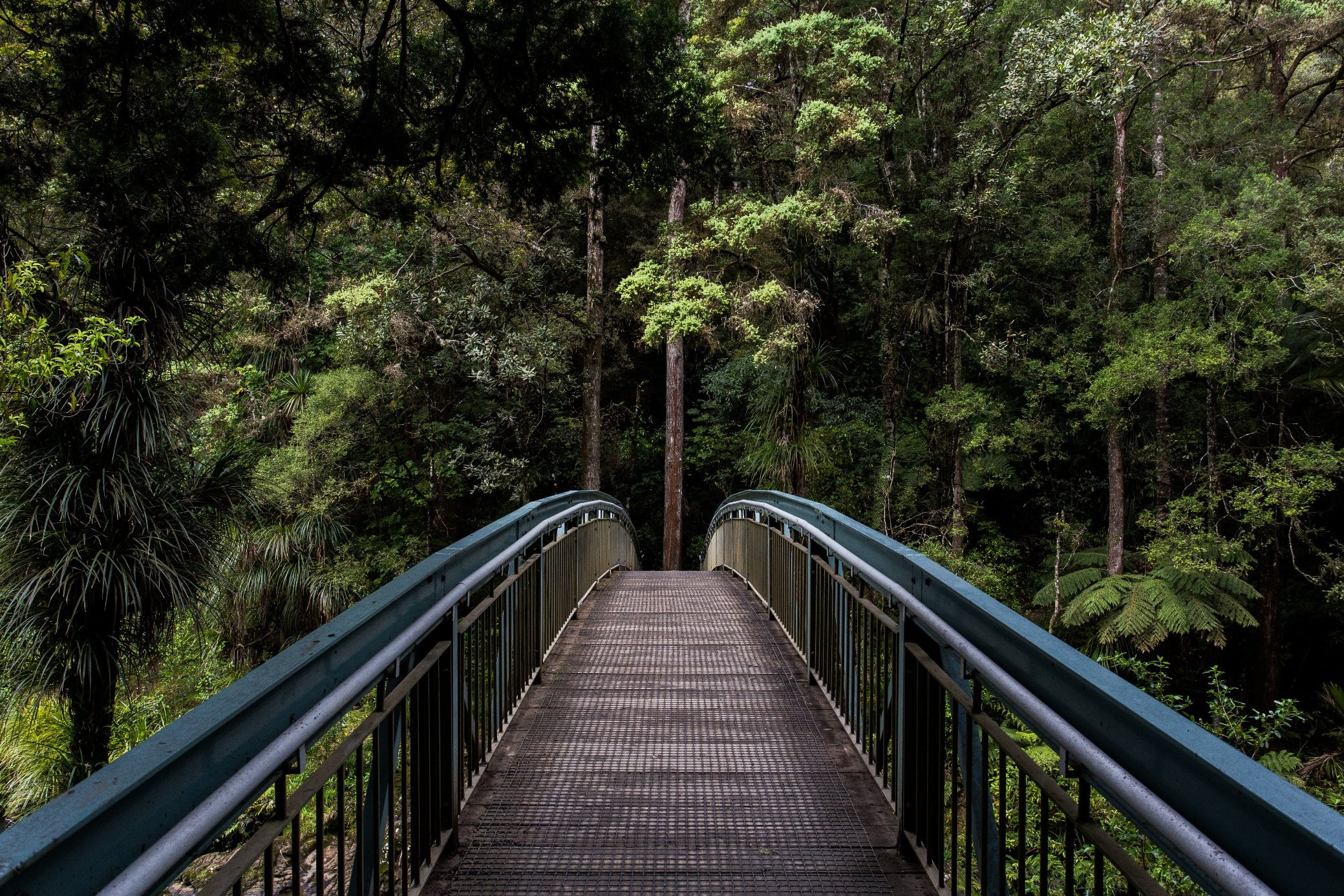 What Keeps You From Taking the Next Step?