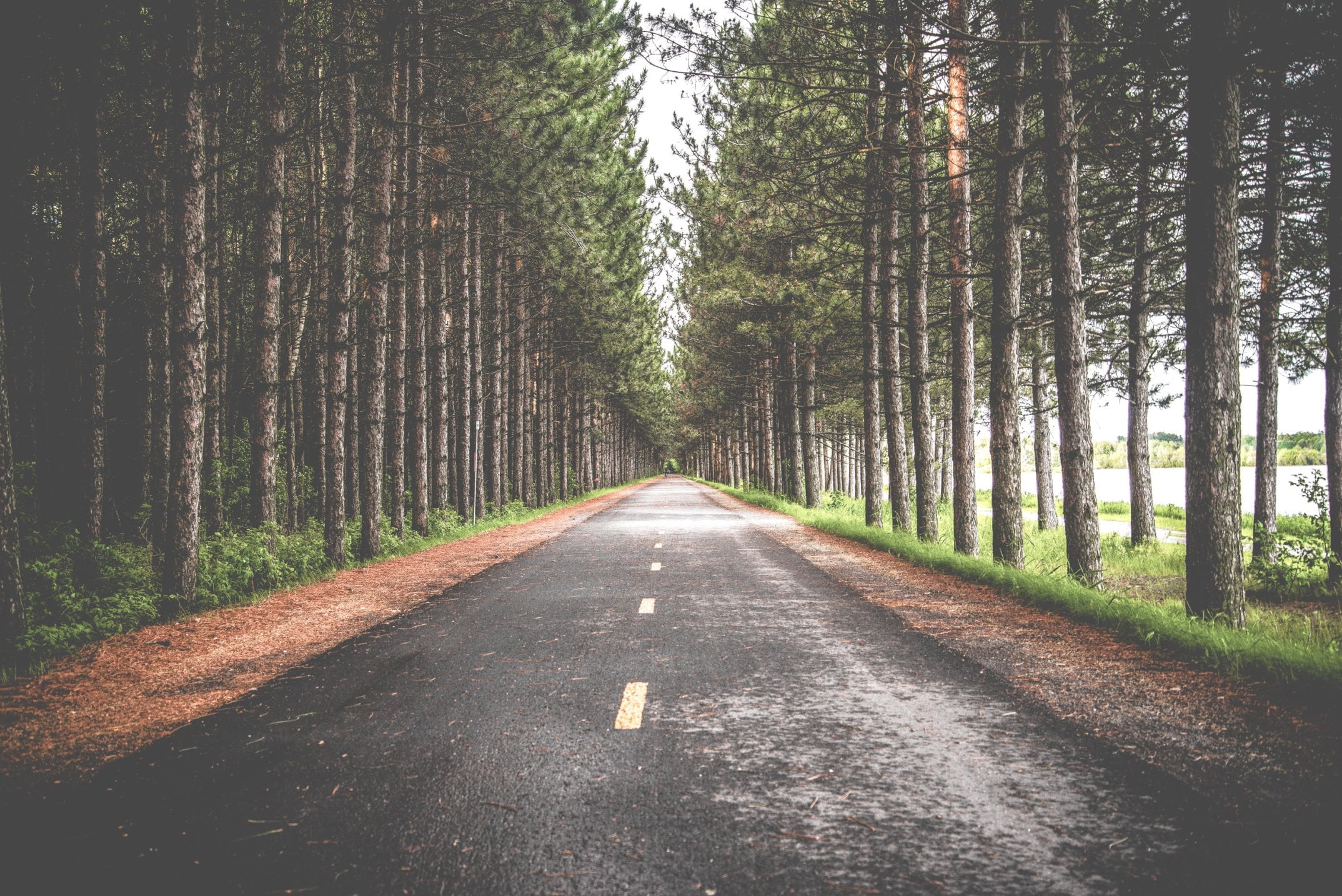 How to Overcome Negativity Bias to Pursue Your Purpose