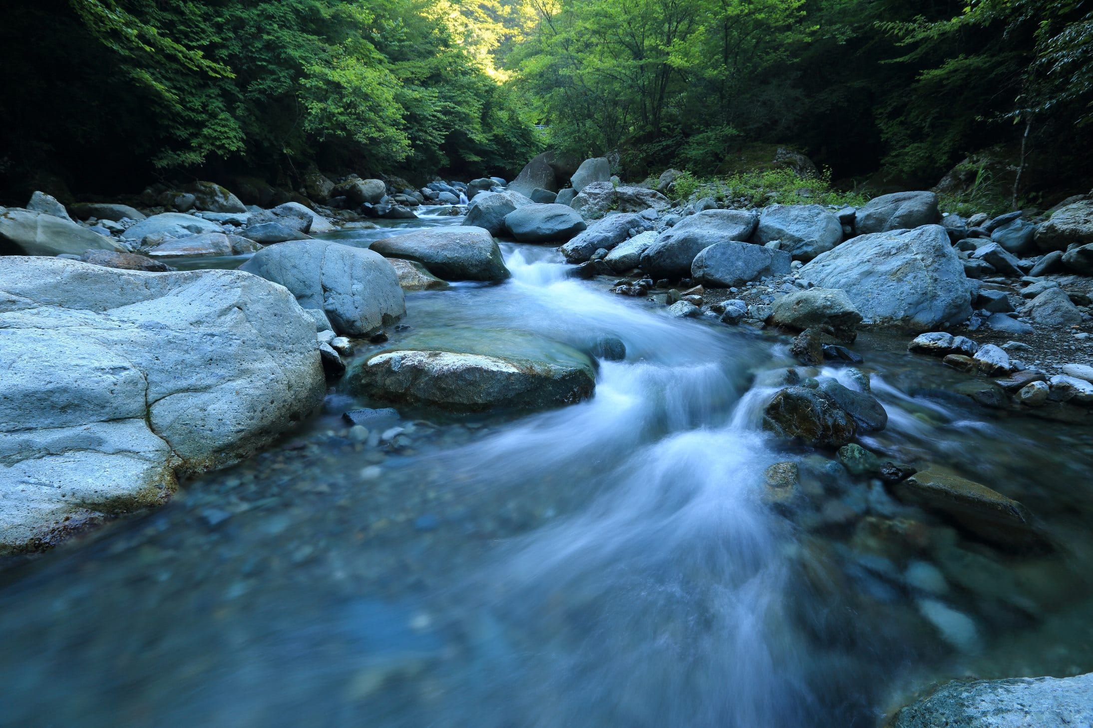 How to Catch That Purposeful Flow