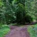 Reactivity or Your Purpose: What Drives Your Choices?